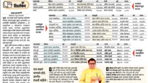 मनसेमुळे आघाडीला 8 जागी बसला फटका
