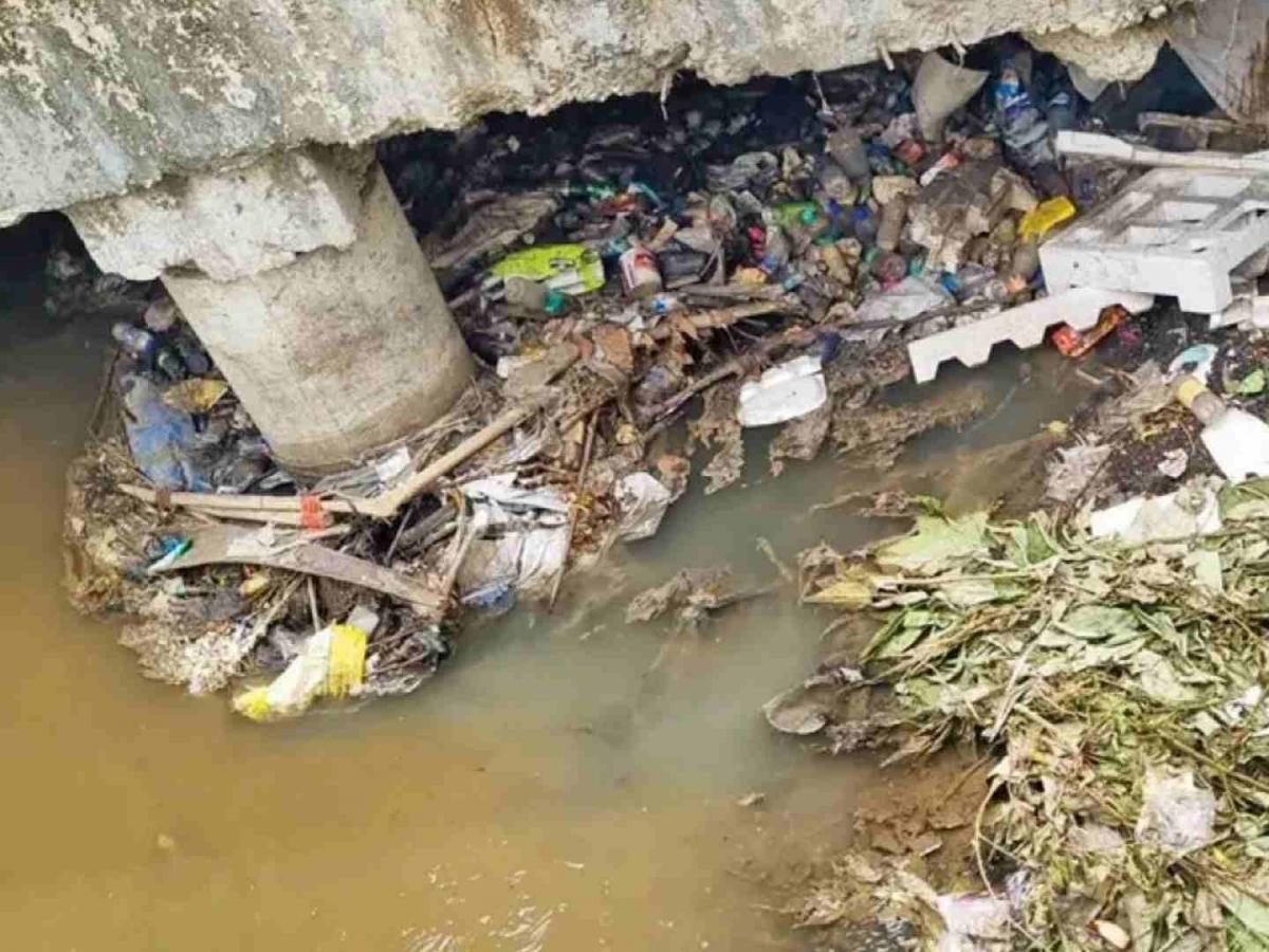 महापालिकेचा कारभारही हायकोर्टानेच करायचा का..?
